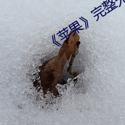 918博天堂·(中国)手机版客户端