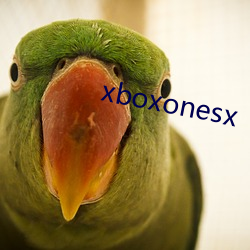 xboxonesx