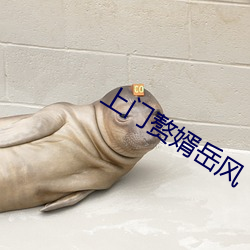 918博天堂·(中国)手机版客户端