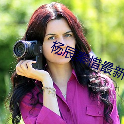 楊辰秦惜最新更新