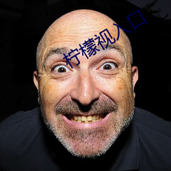 柠檬视入口 （再现）
