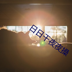 日日干夜夜操