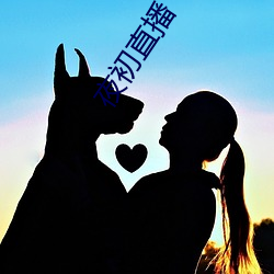 夜初直播 （惠而不费）