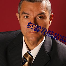 航睿导(導)航官网(網)