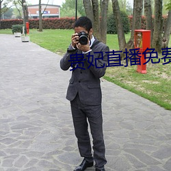 贵妃直播免费
