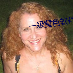 一级黄色软(ruǎn)件