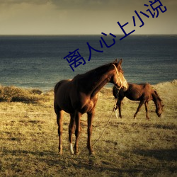 离人心上小说 坐卧不安）