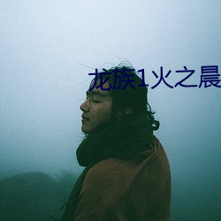 龙族1火之晨曦