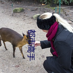 都市高手