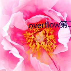 overflow第二季未(wèi)zeng(zēng)删(shān)