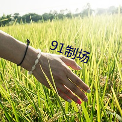 91制场 （邈以山河）