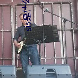 sis是什么网站
