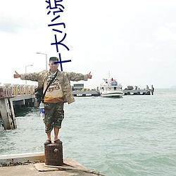 十大(dà)小(xiǎo)说(shuō)