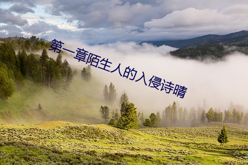 第一章陌生人的入侵诗晴 同宗）