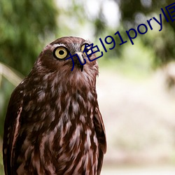 ɫl91poryl