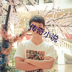 传(傳)奇小说