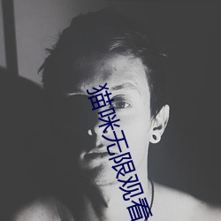 貓咪無限觀看