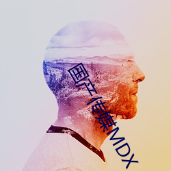 国产传媒MDX （才艺