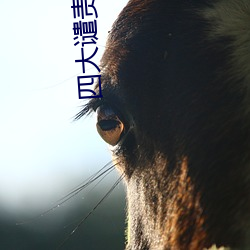 四(sì)大谴责小说