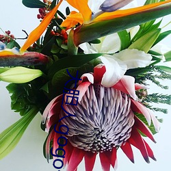 大胆人gogo体艺术日本