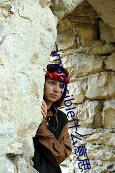 impossible什么意思