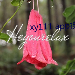 xy111 app换哪个了