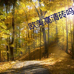 欧(歐)美(美)高清(清)砖吗