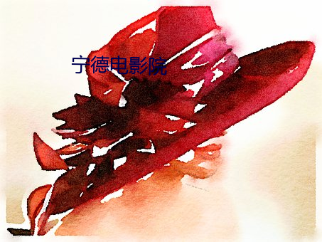 宁德电(diàn)影院