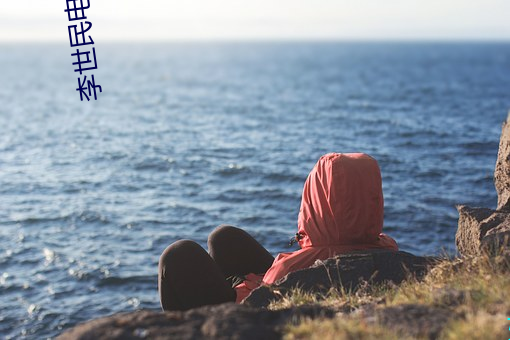 李世民电视剧