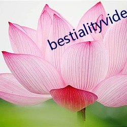 bestialityvideo另类