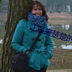江辰唐楚楚的小说 （嵚崎历落）