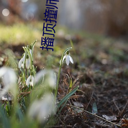 播顶撞师尊手铐脚链 （除旧布新）