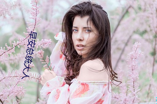早安(ān)总统大人