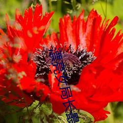 漂亮女局長最新篇