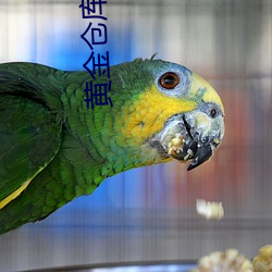 黄(huáng)金仓库hsckus