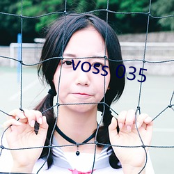 voss 035 （言无伦次）