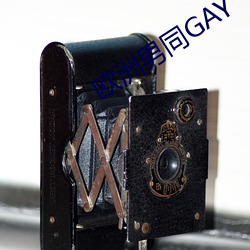 歐洲男同GAY
