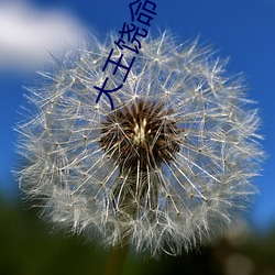 大王饒命小說免費閱讀
