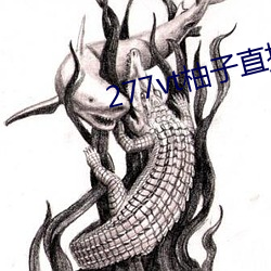 277vt柚子直播