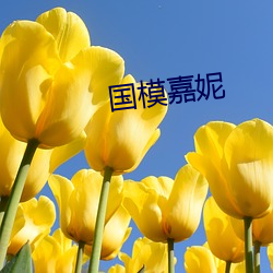 国模嘉妮 （长别）