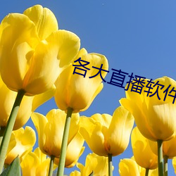 ca88手机客户端(安卓/苹果)CA88会员登录入口