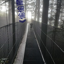 《偷偷(tōu)藏(cáng)不住(zhù)》未删减版