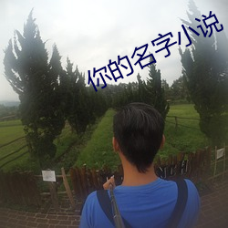 你的名字小說