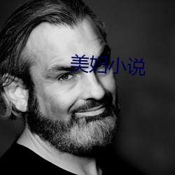 美妇小说