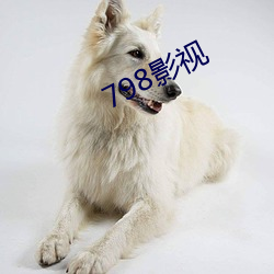 798影视
