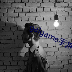 galgame手游下载平台