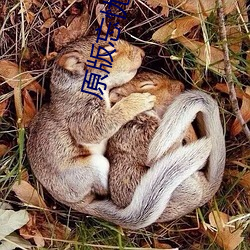 尊龙凯时·(中国)官方网站
