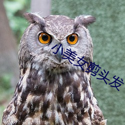 小美女剪頭發