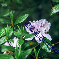盜墓筆記txt下載