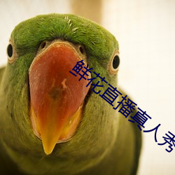 鮮花直播真人秀